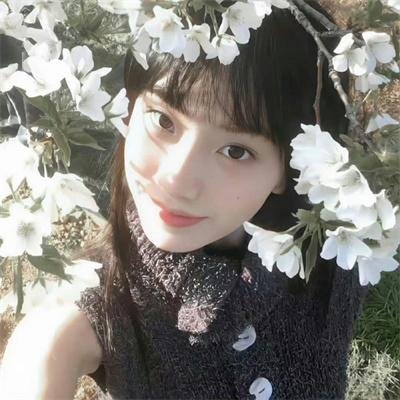 直言真相第一季